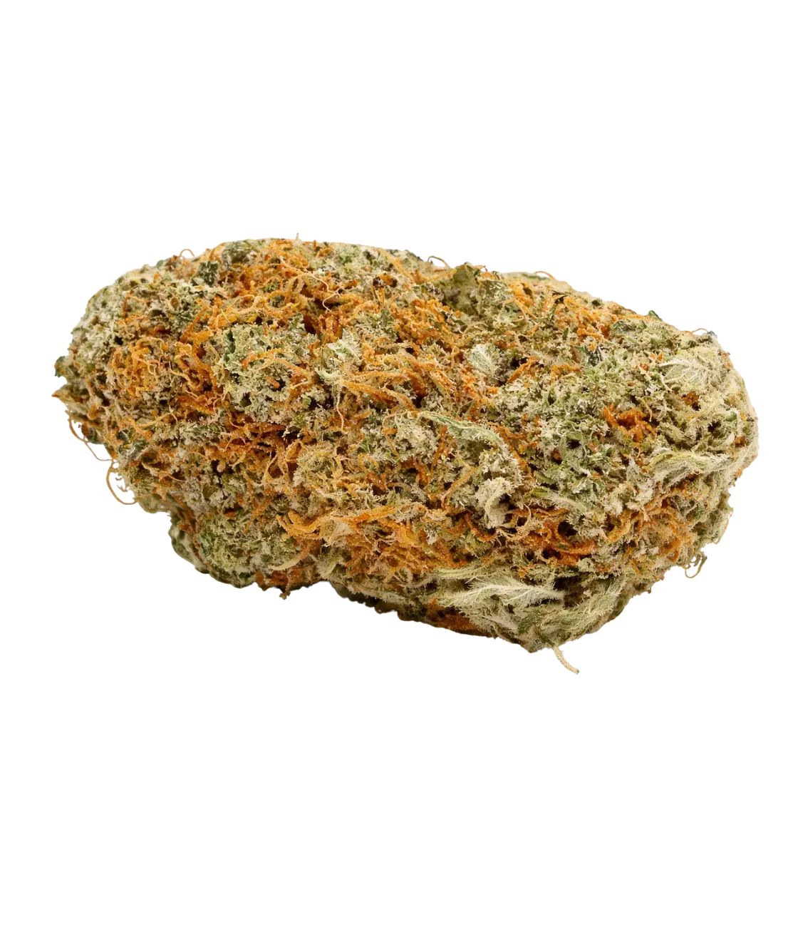 Girl Scout 🍭 🍭 🍭