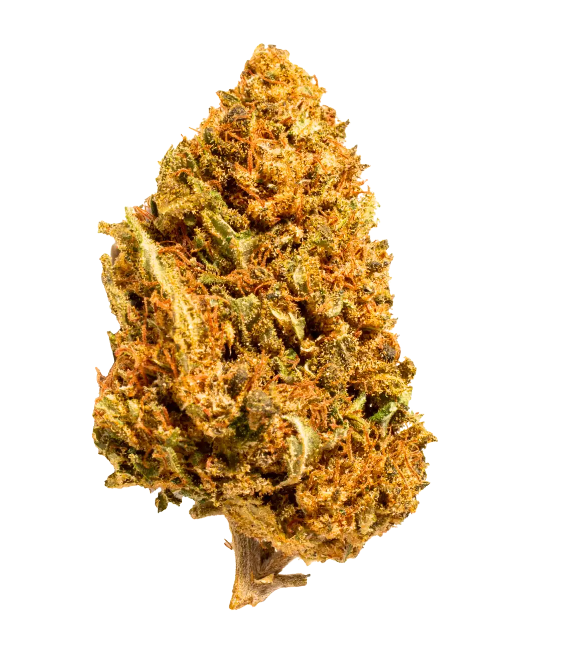 Pack Classique 🌼 🌸 🌺