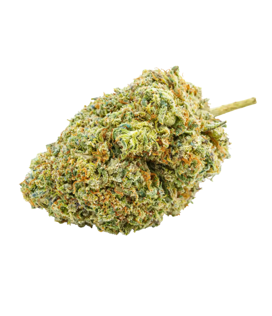 Blue Cheese 💙 💙 💙