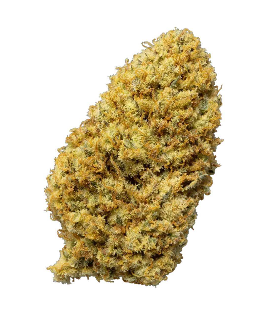 Amnesia Haze ✨ ✨ ✨