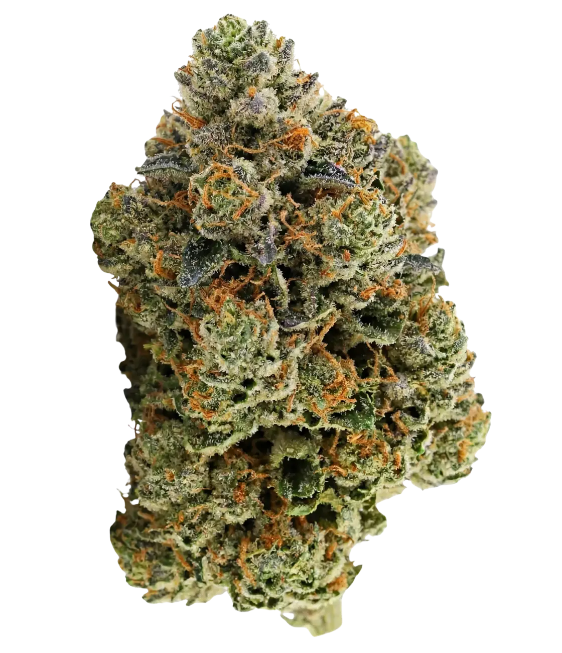 Gorilla Runtz 🦍 🦍 🦍