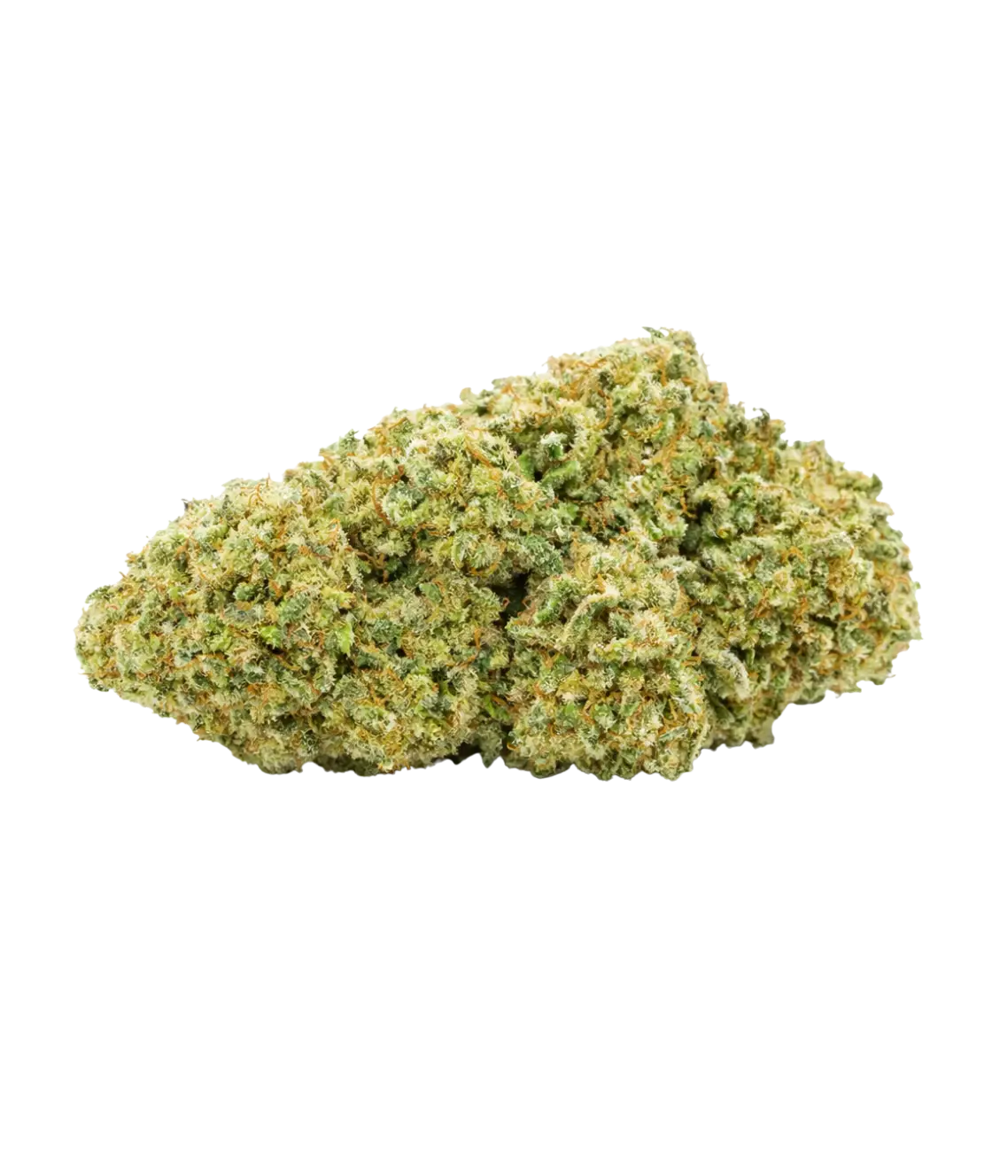 Bruce Banner 💪 💪 💪