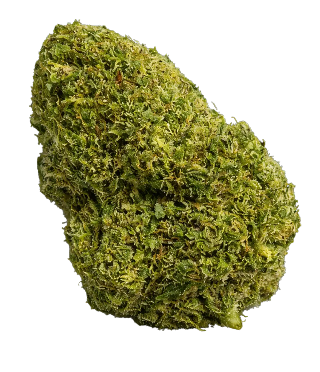 M-AC US 🛸 🛸 🛸