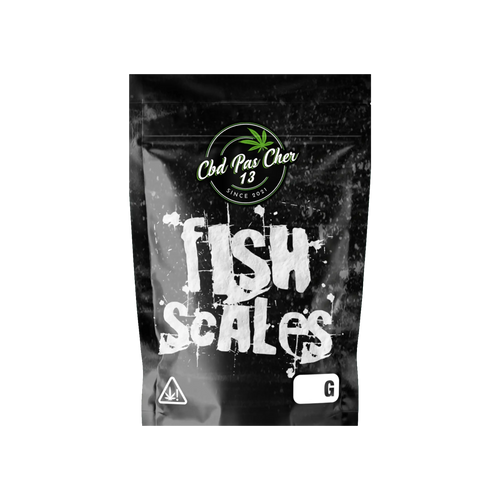 Fish Scale
