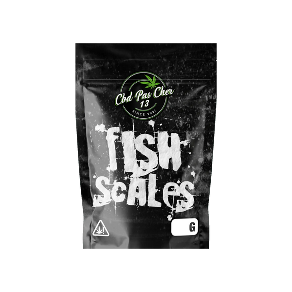 Fish Scale