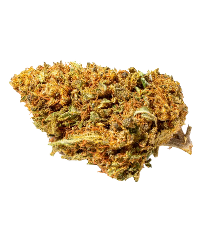 Orange Bud 🍊🍊🍊