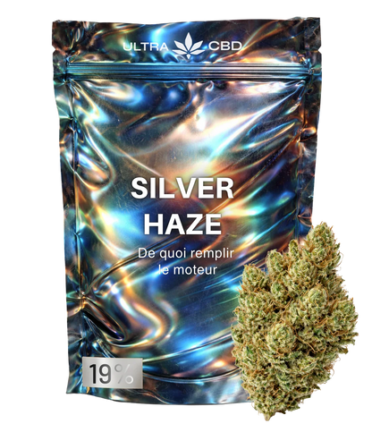 Super Silver Haze ⛓️⛓️⛓️
