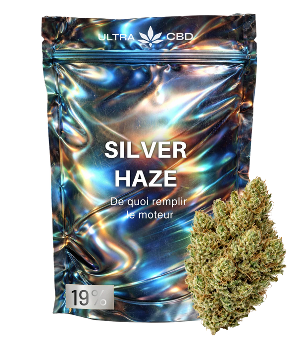 Super Silver Haze ⛓️⛓️⛓️