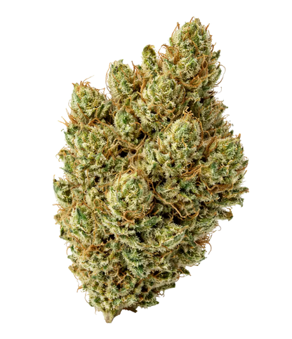 Super Silver Haze ⛓️⛓️⛓️