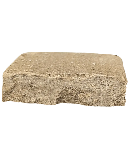 Frozen ❄️ ❄️ ❄️