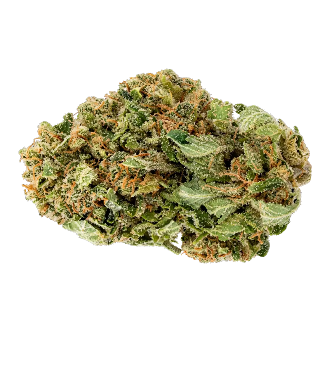 Pack Classique 🌼 🌸 🌺