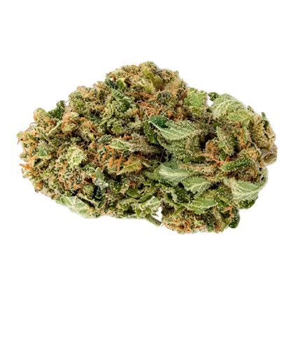 Pack Classique 🌼 🌸 🌺