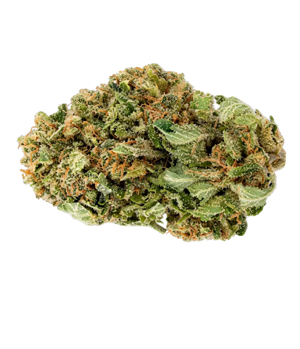 Pack Classique 🌼 🌸 🌺