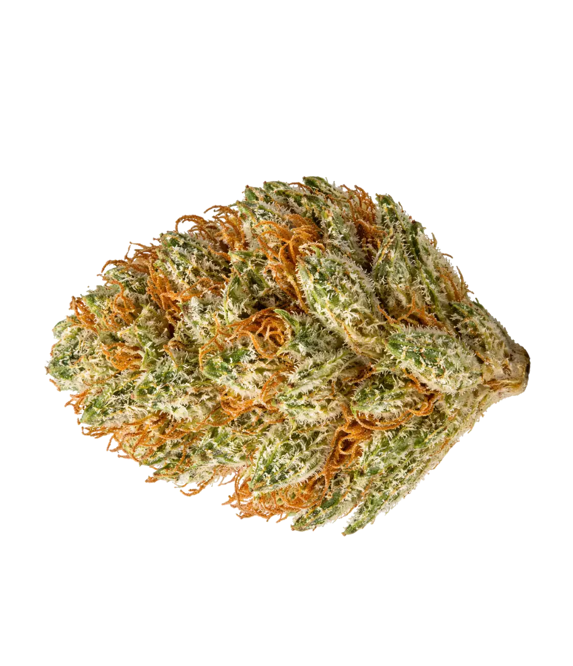 Pack Classique 🌼 🌸 🌺