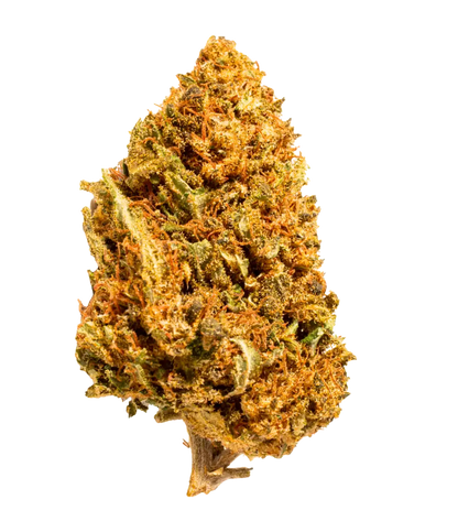 Pack Classique 🌼 🌸 🌺