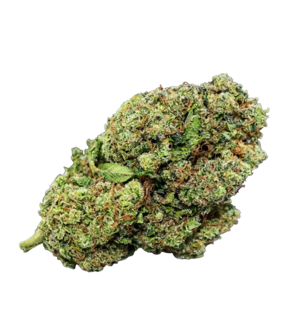 Banana Runtz 🍌 🍌 🍌