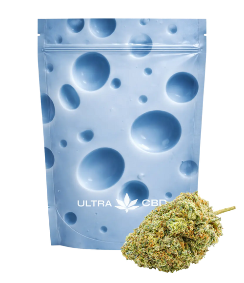 Blue Cheese 💙 💙 💙