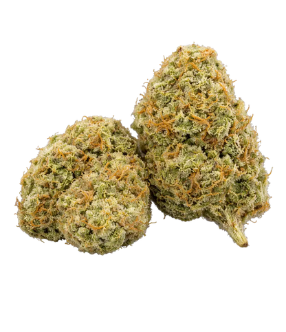 Pack Californien 🌆 🌆 🌆