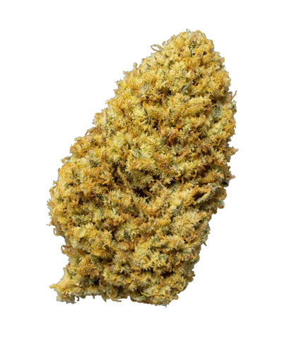 Amnesia Haze ✨ ✨ ✨