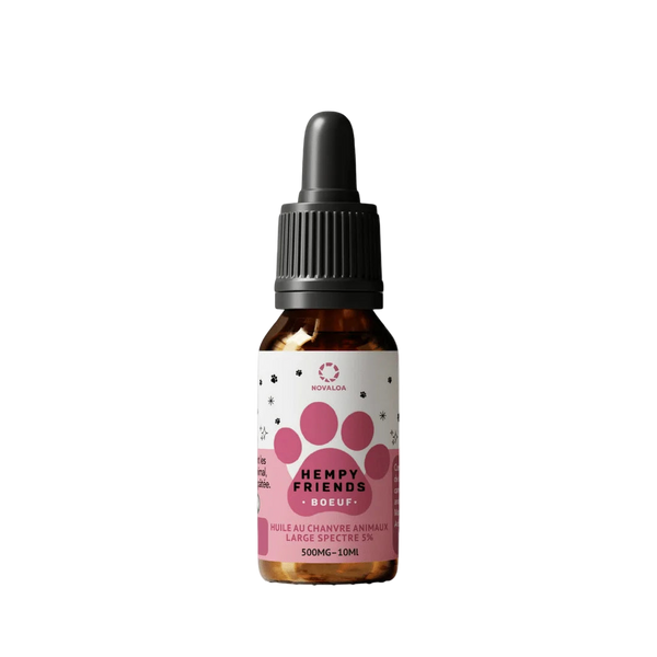 CBD Oil for Dogs 5% Beef