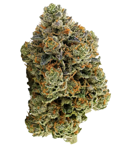 Gorilla Runtz 🦍 🦍 🦍