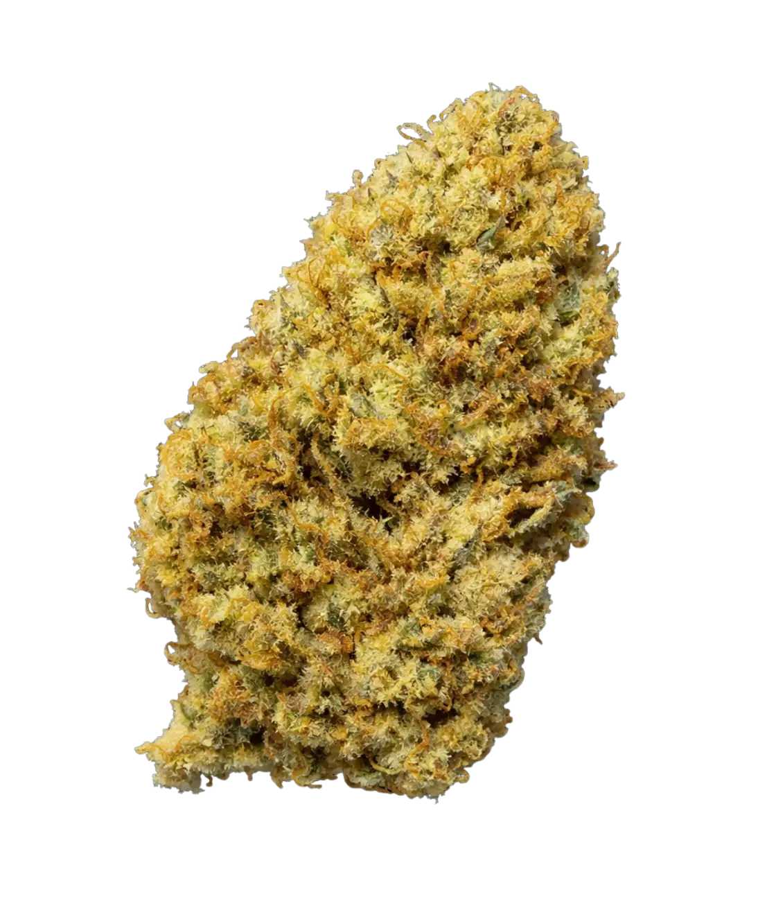 Pack Californien 🌆 🌆 🌆