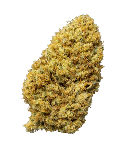 Pack Californien 🌆 🌆 🌆