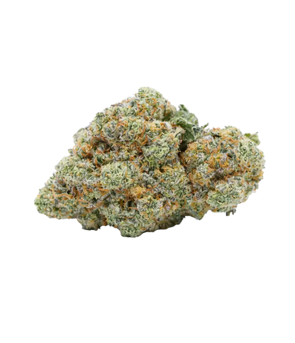 Walter White OG ⚗️ ⚗️ ⚗️