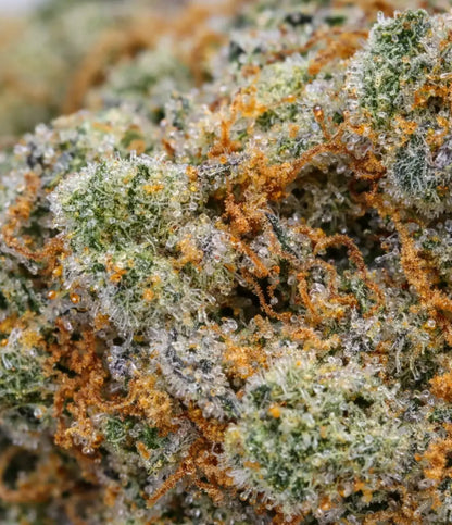 Walter White OG ⚗️ ⚗️ ⚗️