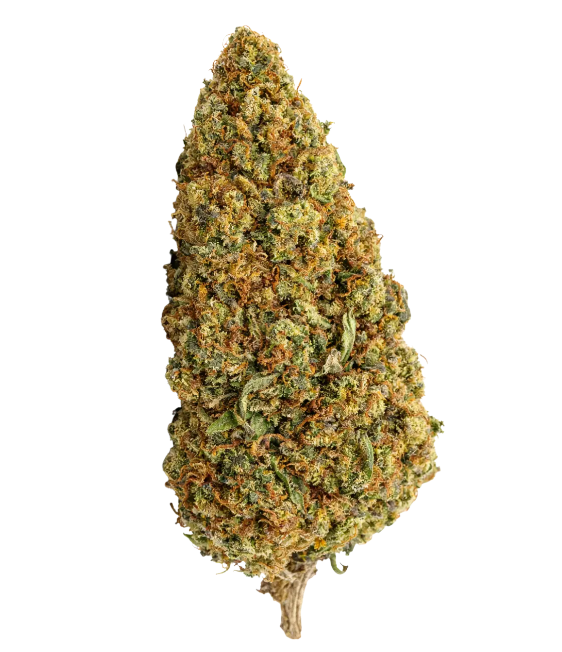 Sleepy Joe 🇺🇸 🇺🇸 🇺🇸