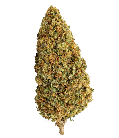 Sleepy Joe 🇺🇸 🇺🇸 🇺🇸