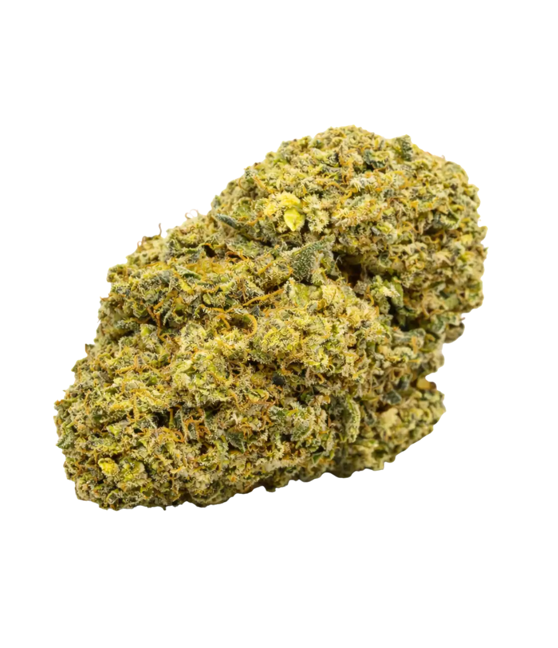 Gelato 41  🍨 🍨 🍨