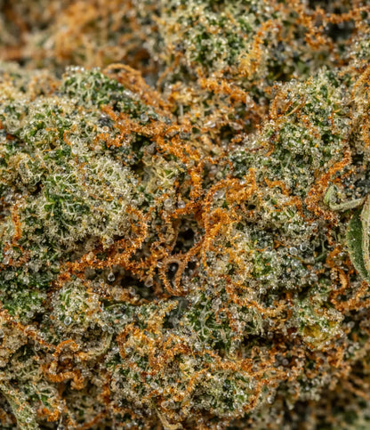 Sleepy Joe 🇺🇸 🇺🇸 🇺🇸