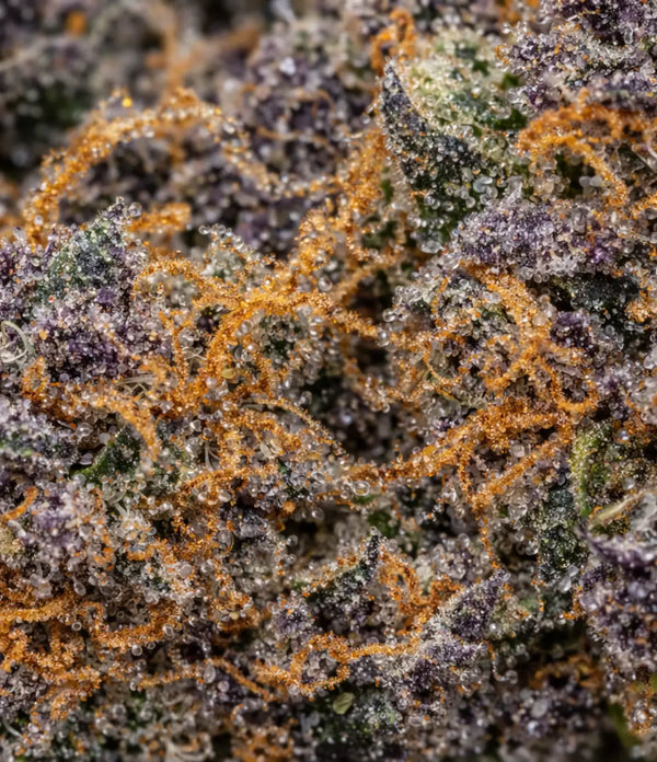 Bubba Kush 🌸 🌸 🌸