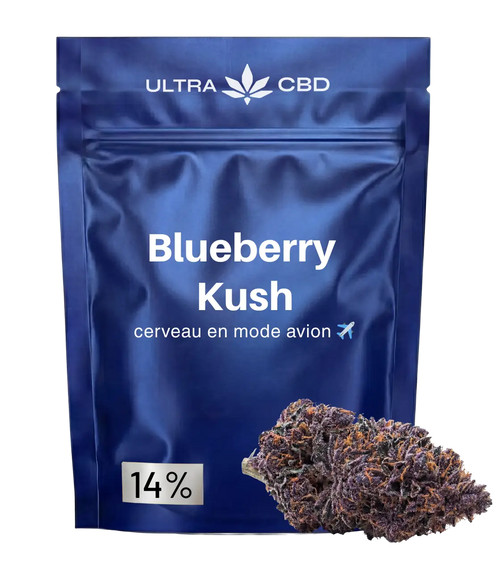 Blueberry Kush 🫐 🫐 🫐