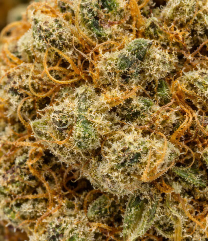 Mango Kush 🥭 🥭 🥭