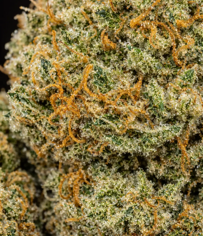 Auto Skunk US 🦨 🦨 🦨