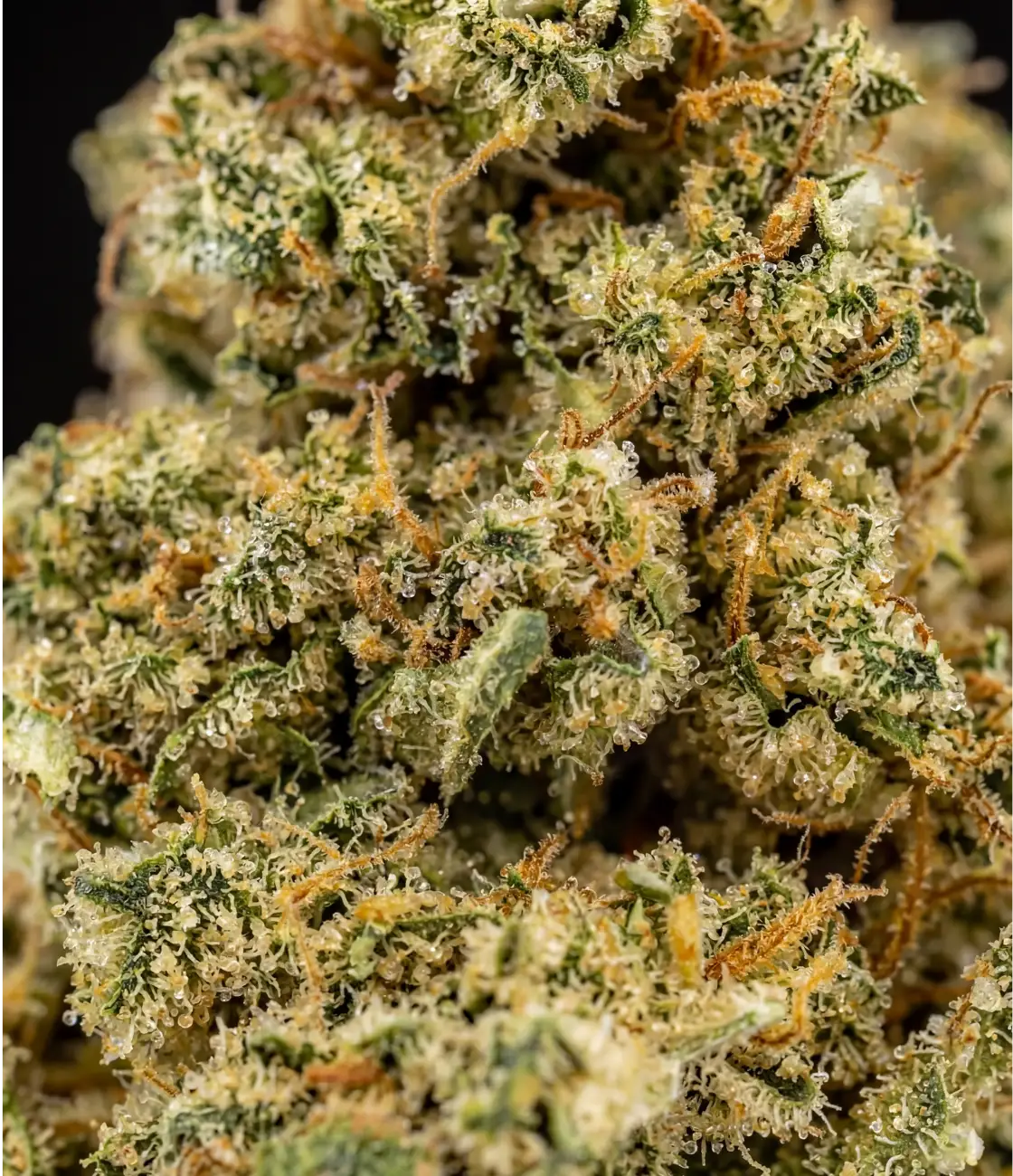 Strawberry Banana 🍌🍓