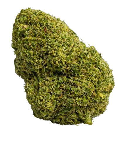 M-AC US 🛸 🛸 🛸