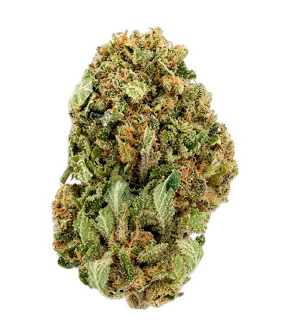 Cannatonic 🤠 🤠 🤠