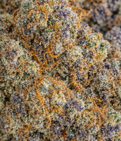 OG Kush US 🍁 🍁 🍁