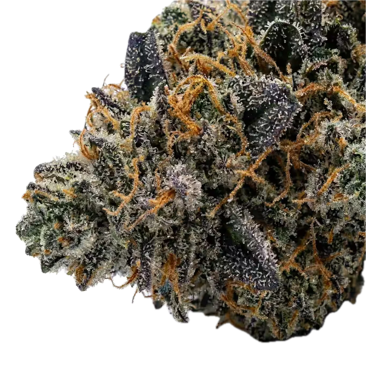 Fish Scales 🐟 🐟 🐟