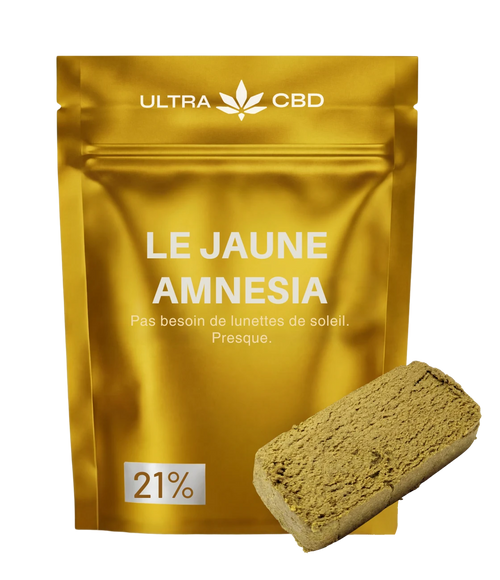 Jaune Amnesia 👊 👊 👊