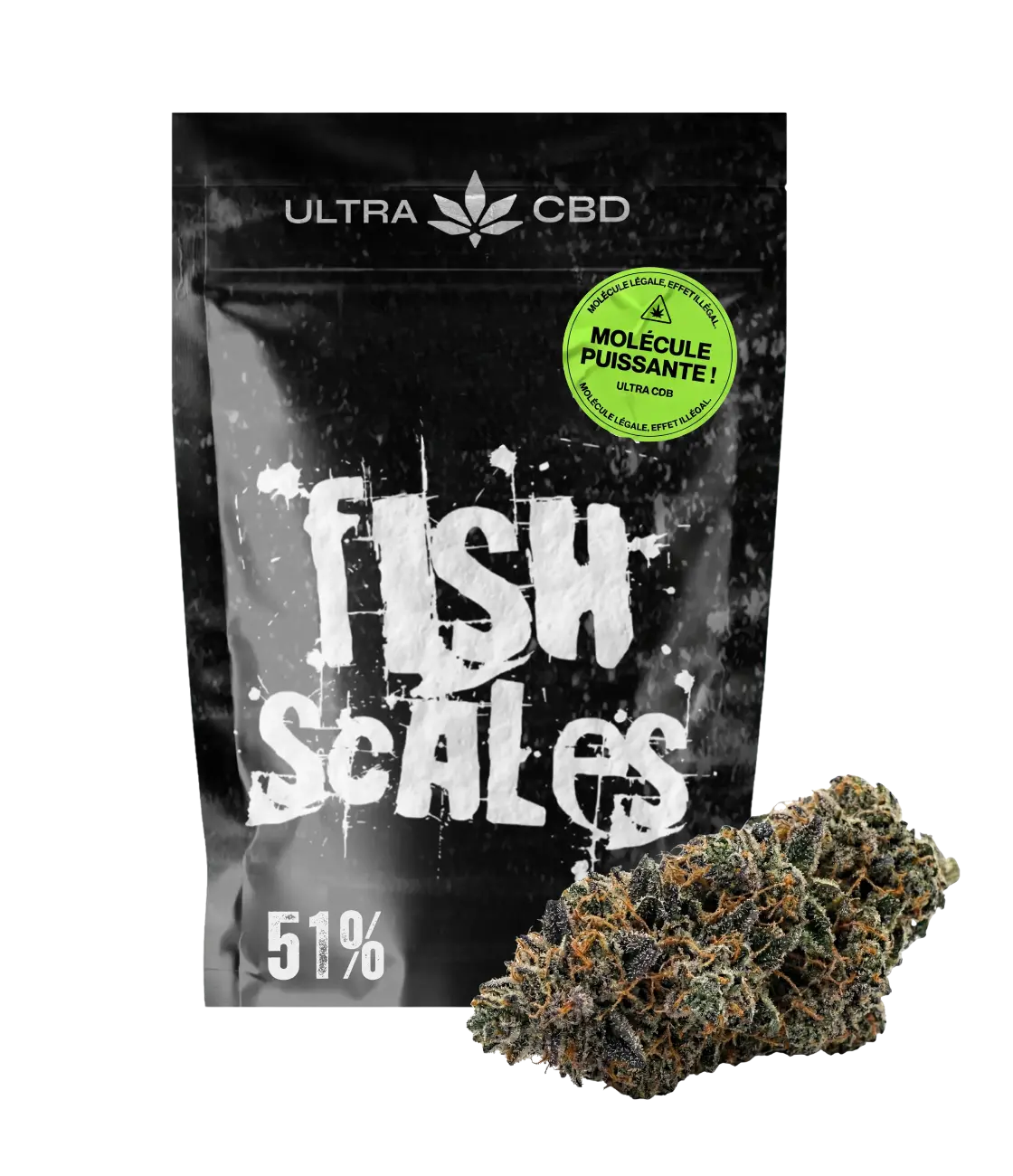 Fish Scales 🐟 🐟 🐟