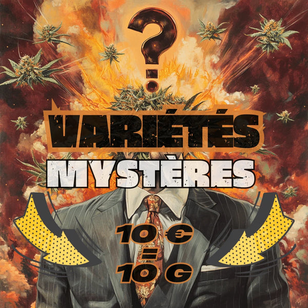 Variétés Mystères Fleur CBD