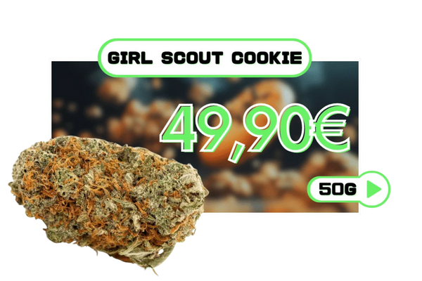 Girl Scout Cookies