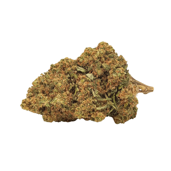 Échantillons Fleurs