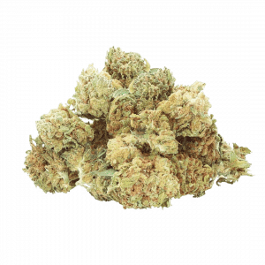 Mimosa Cake Small Bud