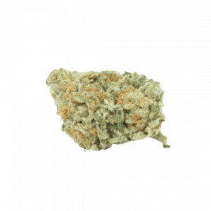 Mimosa Cake Small Bud