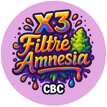 Le X3 Filtré Amnesia